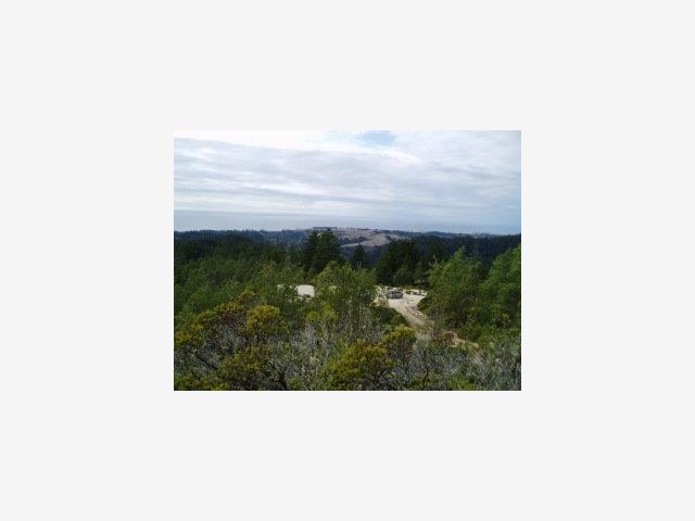 Old Woman's Creek Road, OTHER - SEE REMARKS, California 94060, ,Lots And Land,For Sale,Old Woman's Creek Road,40964323