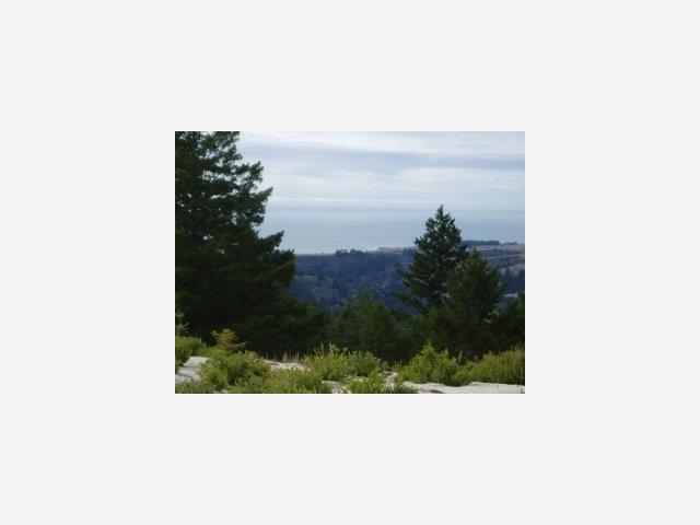 Old Woman's Creek Road, OTHER - SEE REMARKS, California 94060, ,Lots And Land,For Sale,Old Woman's Creek Road,40964323
