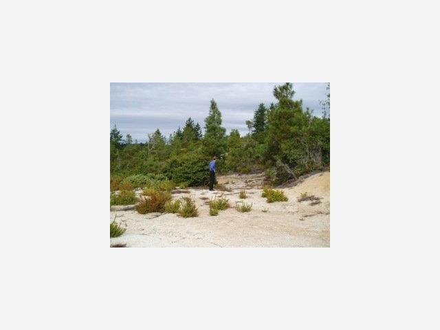 Old Woman's Creek Road, OTHER - SEE REMARKS, California 94060, ,Lots And Land,For Sale,Old Woman's Creek Road,40964323