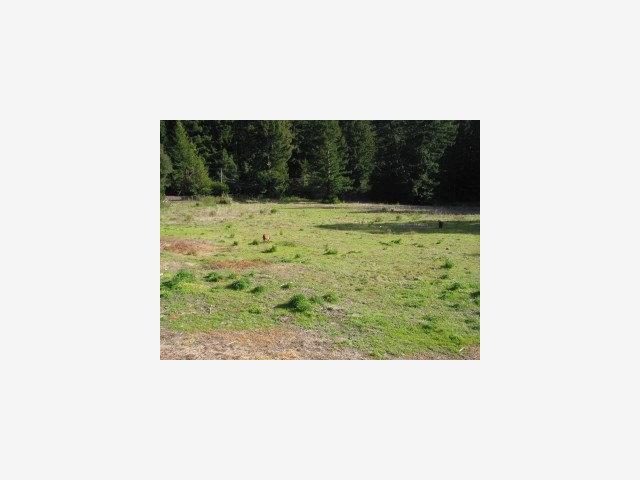 325 DAFFODIL Lane, OTHER - SEE REMARKS, California 95017, ,Lots And Land,For Sale,DAFFODIL Lane,40966877