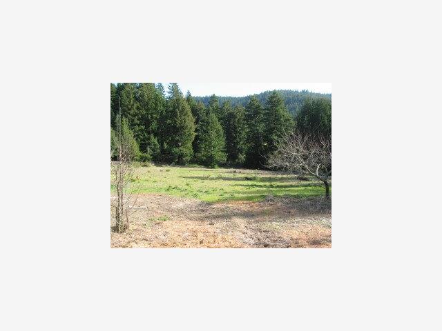 325 DAFFODIL Lane, OTHER - SEE REMARKS, California 95017, ,Lots And Land,For Sale,DAFFODIL Lane,40966877