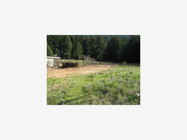 325 DAFFODIL Lane, OTHER - SEE REMARKS, California 95017, ,Lots And Land,For Sale,DAFFODIL Lane,40966877