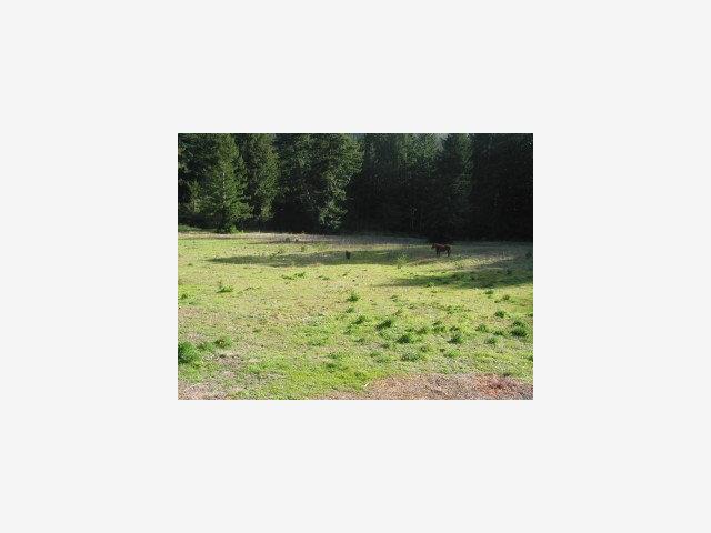 325 DAFFODIL Lane, OTHER - SEE REMARKS, California 95017, ,Lots And Land,For Sale,DAFFODIL Lane,40966877