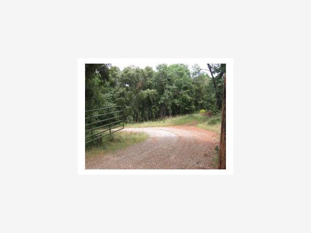 0 Doster Road, MOUNTAIN RANCH, California 95246, ,Lots And Land,For Sale,Doster Road,40966706