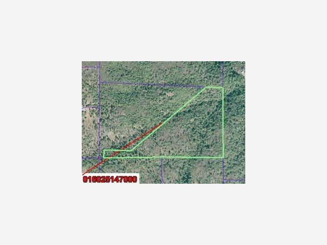 0 Doster Road, MOUNTAIN RANCH, California 95246, ,Lots And Land,For Sale,Doster Road,40966706