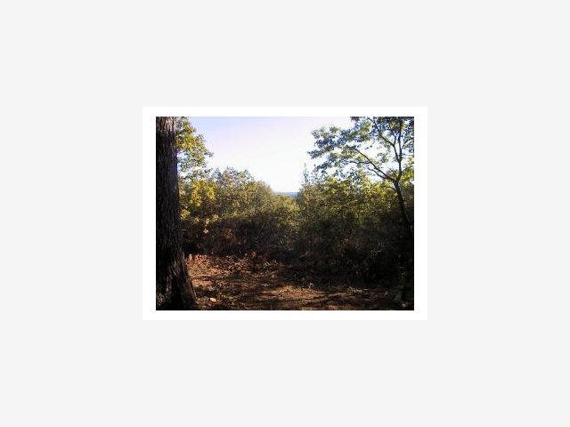 0 Doster Road, MOUNTAIN RANCH, California 95246, ,Lots And Land,For Sale,Doster Road,40966706
