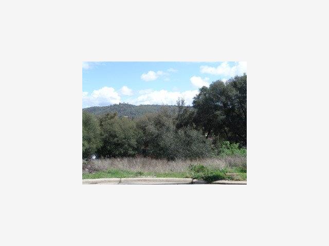 lot 19 Fairview Place, ANGELS CAMP, California 95222, ,Lots And Land,For Sale,Fairview Place,40966696