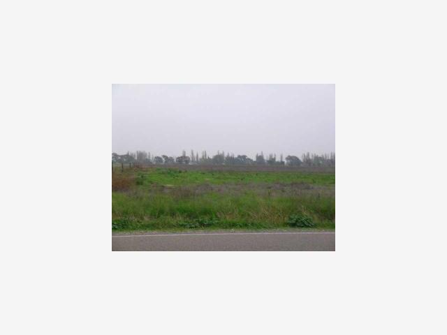 4 Hickory Avenue, PATTERSON, California 95363, ,Lots And Land,For Sale,Hickory Avenue,40967024