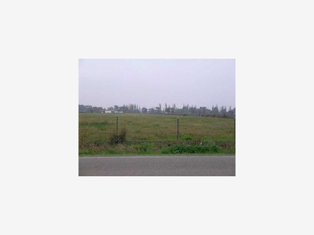 1150 Angelus, TURLOCK, California 95380, ,Lots And Land,For Sale,Angelus,40967118