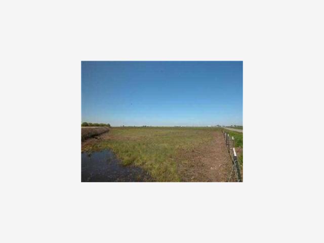 1 Wellsford Road, MODESTO, California 95357, ,Lots And Land,For Sale,Wellsford Road,40966974