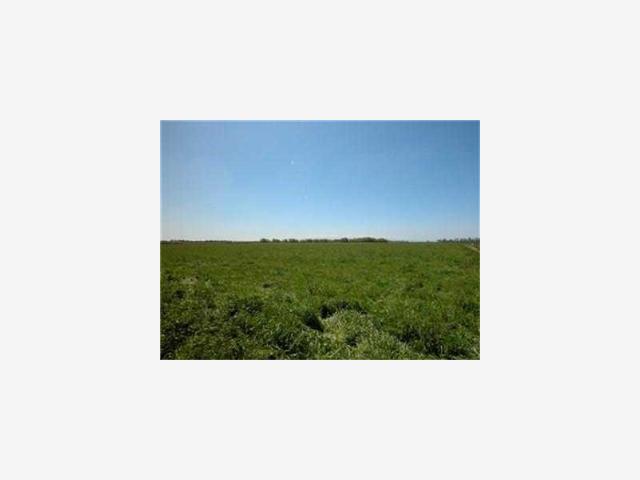 1 Wellsford Road, MODESTO, California 95357, ,Lots And Land,For Sale,Wellsford Road,40966974