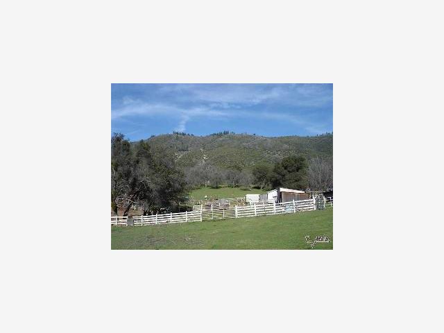 8101 Priest Coulterville Road, GROVELAND, California 95321, ,Lots And Land,For Sale,Priest Coulterville Road,40967019