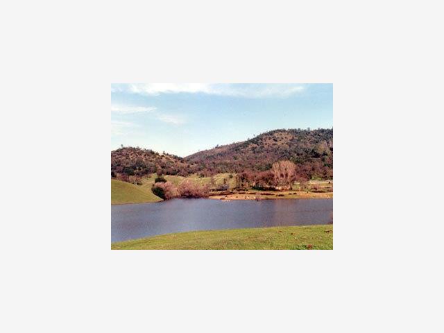 10183 Old HWY 49, OTHER - SEE REMARKS, California 95311, ,Lots And Land,For Sale,Old HWY 49,40967076
