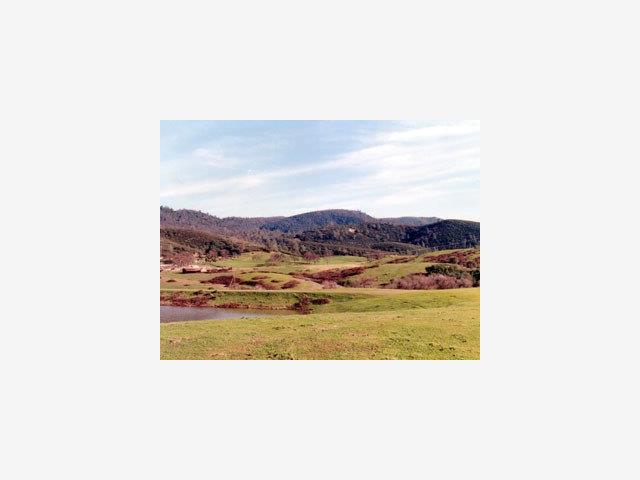 10183 Old HWY 49, OTHER - SEE REMARKS, California 95311, ,Lots And Land,For Sale,Old HWY 49,40967076