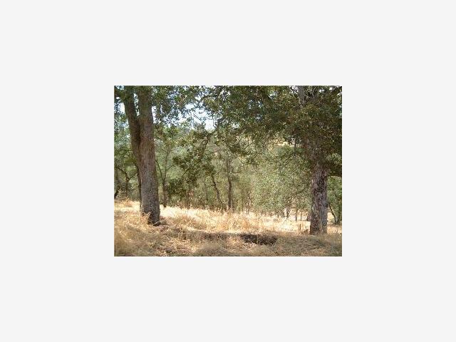 8882 Montero Road, OTHER - SEE REMARKS, California 95252, ,Lots And Land,For Sale,Montero Road,40966984