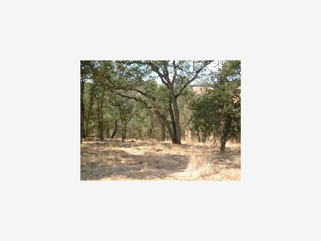 8882 Montero Road, OTHER - SEE REMARKS, California 95252, ,Lots And Land,For Sale,Montero Road,40966984