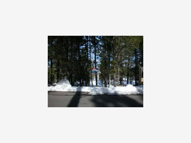 10102 REYNOLD Way, OTHER - SEE REMARKS, California 96161, ,Lots And Land,For Sale,REYNOLD Way,40967027
