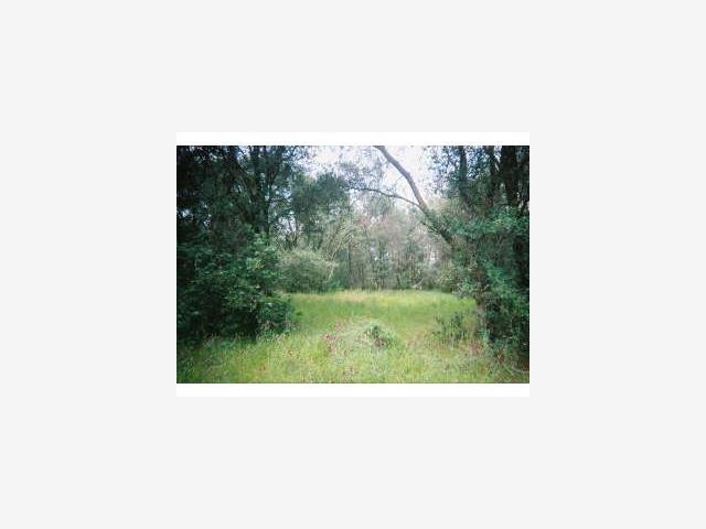 ORO BANGOR, OTHER - SEE REMARKS, California 95965, ,Lots And Land,For Sale,ORO BANGOR,40966892