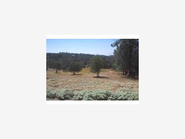 3347 Wildcat Springs Road, OTHER - SEE REMARKS, California 95338, ,Lots And Land,For Sale,Wildcat Springs Road,40966850