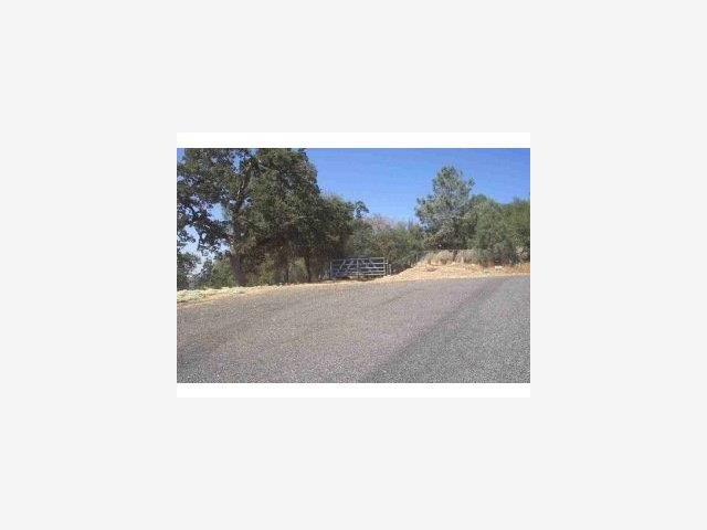 3347 Wildcat Springs Road, OTHER - SEE REMARKS, California 95338, ,Lots And Land,For Sale,Wildcat Springs Road,40966850
