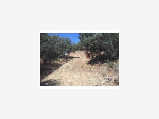 3347 Wildcat Springs Road, OTHER - SEE REMARKS, California 95338, ,Lots And Land,For Sale,Wildcat Springs Road,40966850
