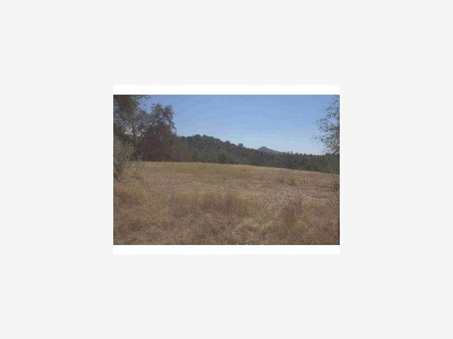 3347 Wildcat Springs Road, OTHER - SEE REMARKS, California 95338, ,Lots And Land,For Sale,Wildcat Springs Road,40966850