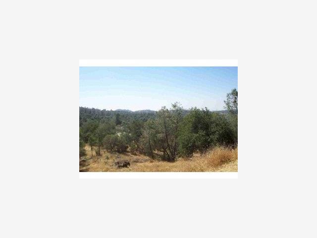 3347 Wildcat Springs Road, OTHER - SEE REMARKS, California 95338, ,Lots And Land,For Sale,Wildcat Springs Road,40966850