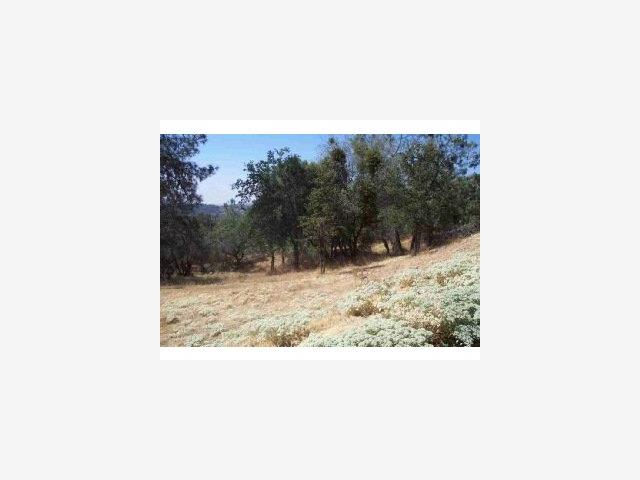3347 Wildcat Springs Road, OTHER - SEE REMARKS, California 95338, ,Lots And Land,For Sale,Wildcat Springs Road,40966850