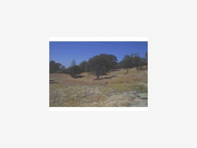 3347 Wildcat Springs Road, OTHER - SEE REMARKS, California 95338, ,Lots And Land,For Sale,Wildcat Springs Road,40966850