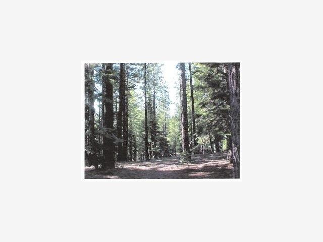025 831 34 100, OTHER - SEE REMARKS, California 96150, ,Lots And Land,For Sale,025 831 34 100,40966835