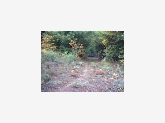 0000 Bonnie Meadow Lane, BERRY CREEK, California 95916, ,Lots And Land,For Sale,Bonnie Meadow Lane,40966927