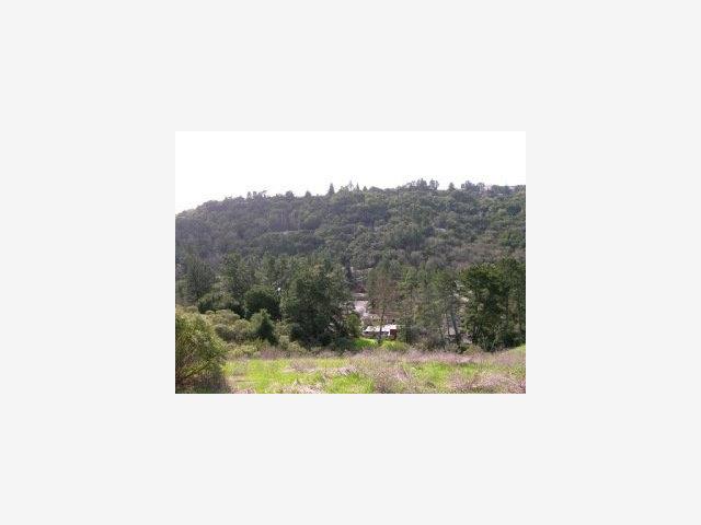 241 Orchard Road, ORINDA, California 94563, ,Lots And Land,For Sale,Orchard Road,40966820