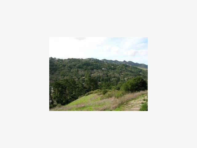241 Orchard Road, ORINDA, California 94563, ,Lots And Land,For Sale,Orchard Road,40966820