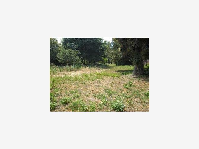 0 San Lorenzo Boulevard, SANTA CRUZ, California 95060, ,Lots And Land,For Sale,San Lorenzo Boulevard,40966630