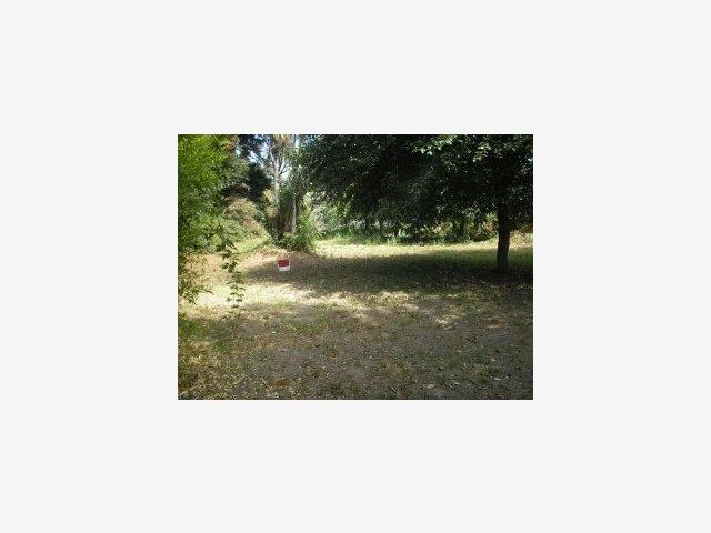 0 San Lorenzo Boulevard, SANTA CRUZ, California 95060, ,Lots And Land,For Sale,San Lorenzo Boulevard,40966630