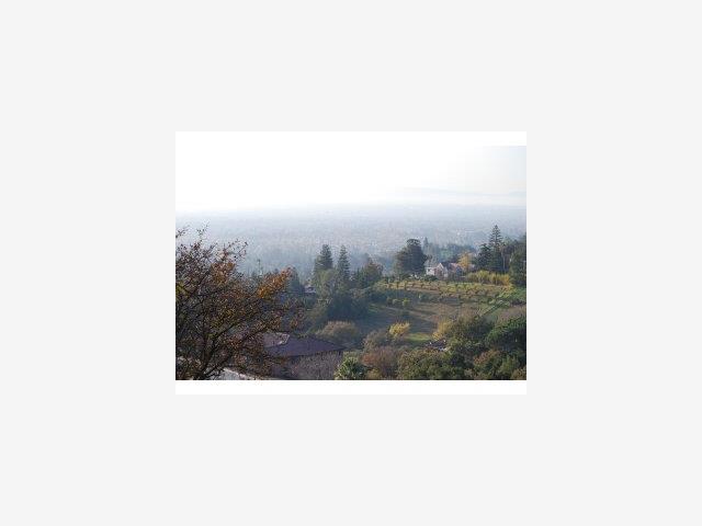 00 Soelro Court, SAN JOSE, California 95127, ,Lots And Land,For Sale,Soelro Court,40966639