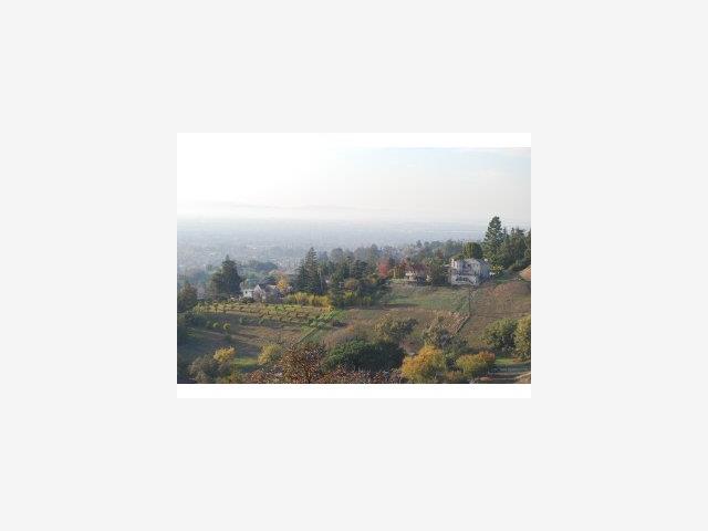 00 Soelro Court, SAN JOSE, California 95127, ,Lots And Land,For Sale,Soelro Court,40966639