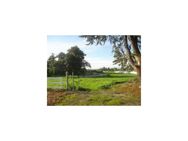 431 UNION HEIGHTS Drive, HOLLISTER, California 95023, ,Lots And Land,For Sale,UNION HEIGHTS Drive,40966637
