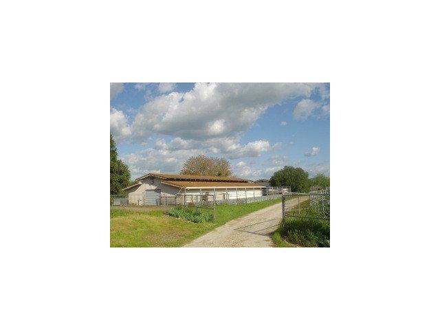 431 UNION HEIGHTS Drive, HOLLISTER, California 95023, ,Lots And Land,For Sale,UNION HEIGHTS Drive,40966637
