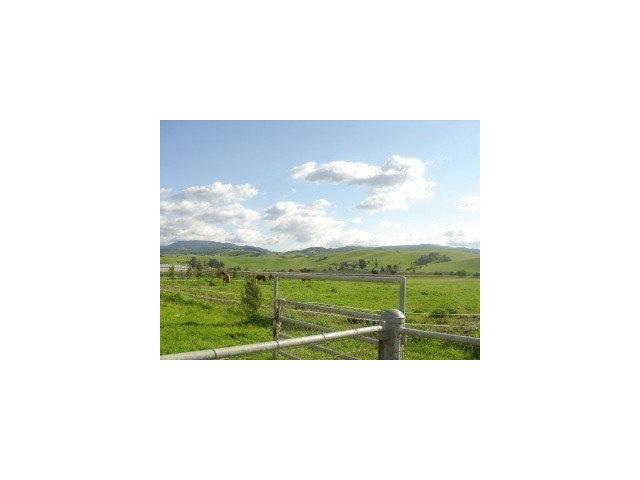 431 UNION HEIGHTS Drive, HOLLISTER, California 95023, ,Lots And Land,For Sale,UNION HEIGHTS Drive,40966637