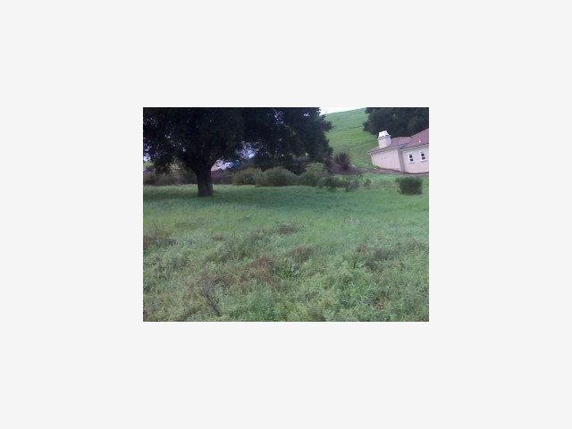 8565 STRAWBERRY Lane, GILROY, California 95020, ,Lots And Land,For Sale,STRAWBERRY Lane,40966626