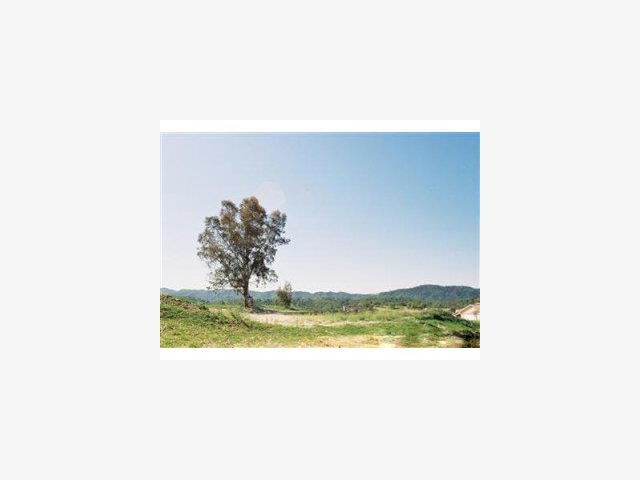 3480 Lakeside Village Drive, PASO ROBLES, California 93446, ,Lots And Land,For Sale,Lakeside Village Drive,40966620