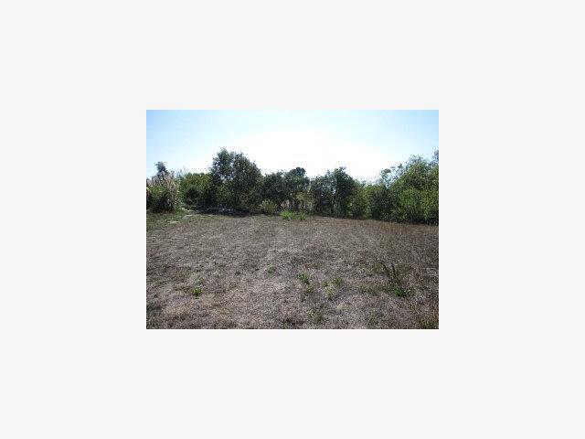 113 MANRESA, OTHER - SEE REMARKS, California 95003, ,Lots And Land,For Sale,MANRESA,40966650