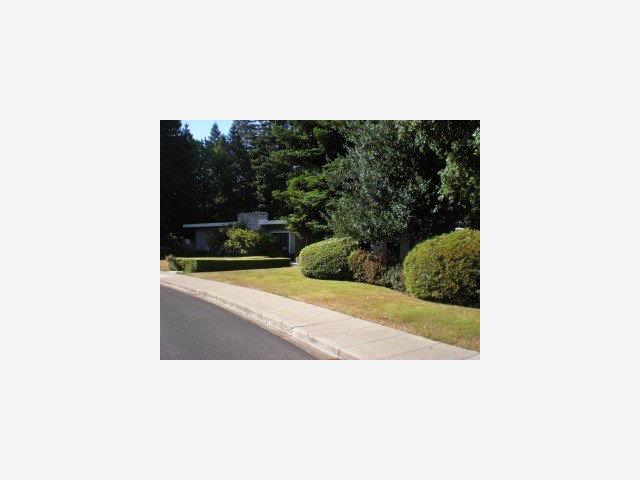 82 LLOYDEN Drive, ATHERTON, California 94027, ,Lots And Land,For Sale,LLOYDEN Drive,40966648