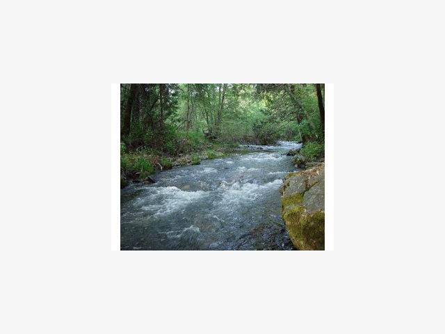 2733 Emco Rd, OTHER - SEE REMARKS, California 95248, ,Lots And Land,For Sale,Emco Rd,40966619