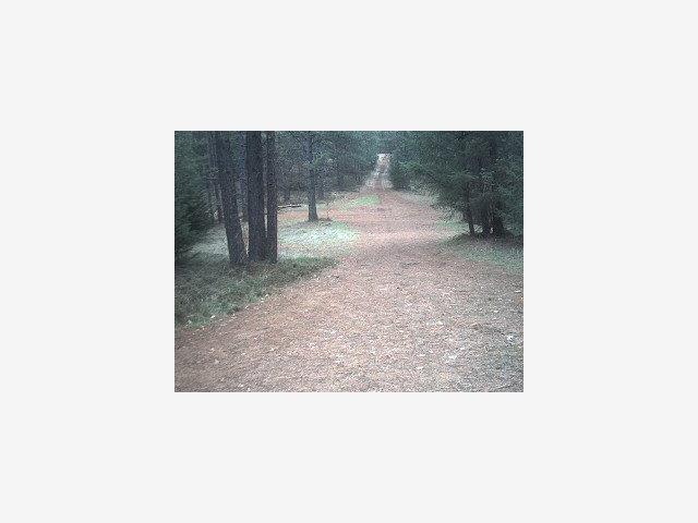 2733 Emco Rd, OTHER - SEE REMARKS, California 95248, ,Lots And Land,For Sale,Emco Rd,40966619