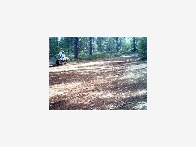 2733 Emco Rd, OTHER - SEE REMARKS, California 95248, ,Lots And Land,For Sale,Emco Rd,40966619