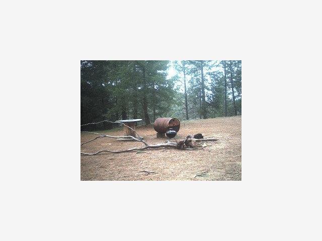 2733 Emco Rd, OTHER - SEE REMARKS, California 95248, ,Lots And Land,For Sale,Emco Rd,40966619