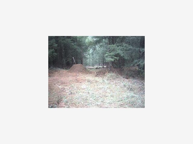 2733 Emco Rd, OTHER - SEE REMARKS, California 95248, ,Lots And Land,For Sale,Emco Rd,40966619