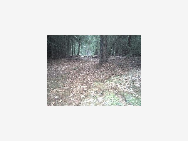 2733 Emco Rd, OTHER - SEE REMARKS, California 95248, ,Lots And Land,For Sale,Emco Rd,40966619